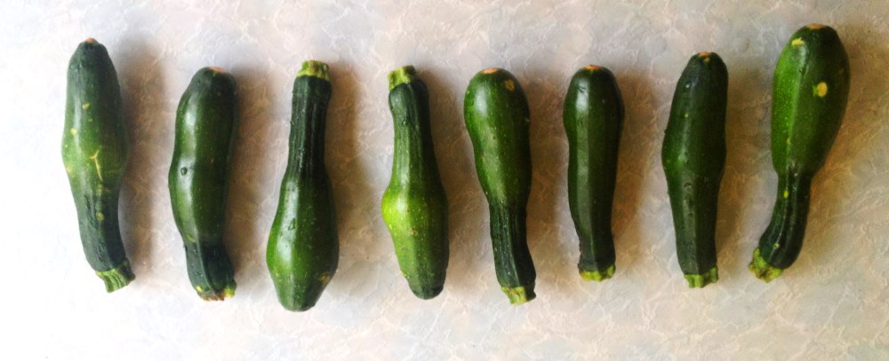 mutant zuchinis